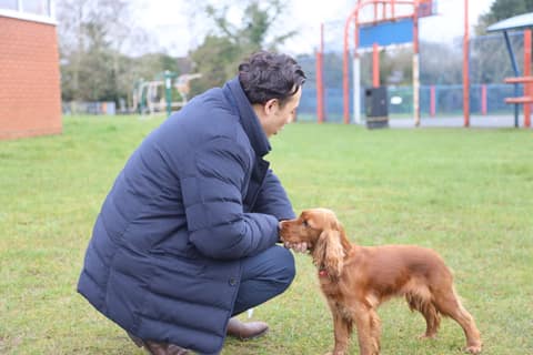 Meeting a four-legged resident